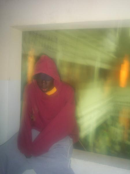 lil tam